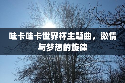 哇卡哇卡世丹东日丰电子有限公司界杯主题曲，激情与梦想的旋律