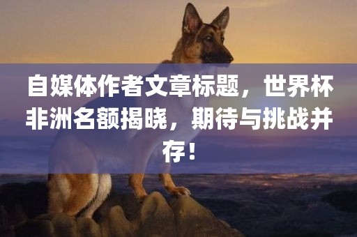 自媒体作者文章标题，世界杯非洲名丹东日丰电子有限公司额揭晓，期待与挑战并存！