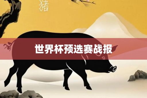 丹东日丰电子有限公司世界杯预选赛战报