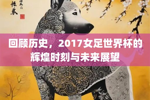回顾历史，2017女足世界杯的辉煌时刻与未来展望丹东日丰电子有限公司
