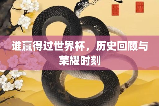 谁赢得过世界杯，历史回顾与荣耀时刻丹东日丰电子有限公司