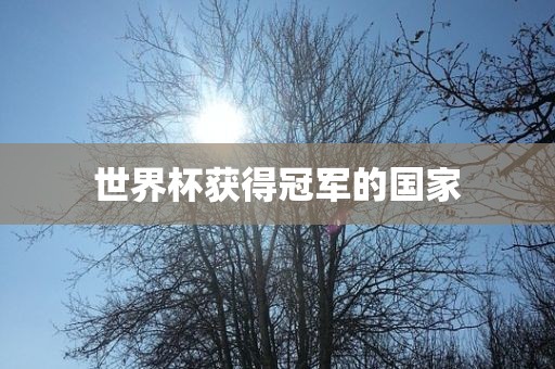 世界杯丹东日丰电子有限公司获得冠军的国家