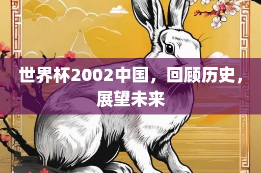 世界杯2002中国，回顾历史，展望未来丹东日丰电子有限公司