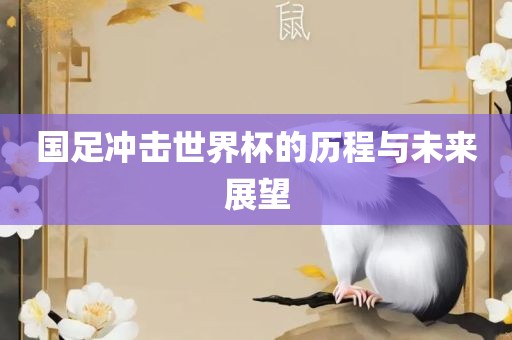 国足冲击世界杯的历程与未来展望丹东日丰电子有限公司