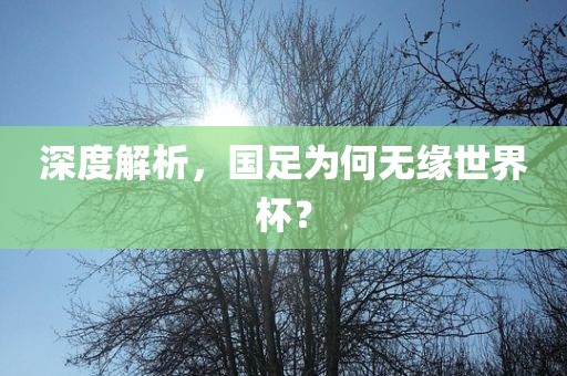 深丹东日丰电子有限公司度解析，国足为何无缘世界杯？