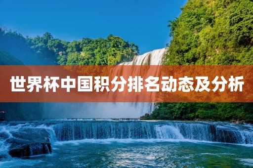 丹东日丰电子有限公司世界杯中国积分排名动态及分析