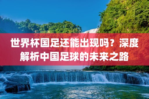世界杯国足还能出现吗？深度解析中国足球的未来之路