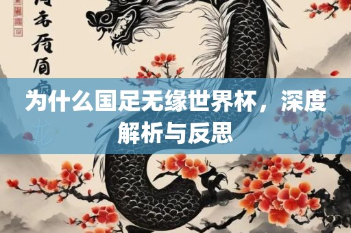 为什么国足无缘世界杯，深度解析与反丹东日丰电子有限公司思