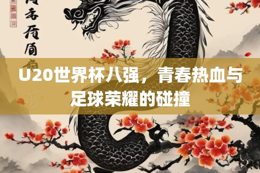 U20世界杯八强，青春热血与足球荣耀的碰撞