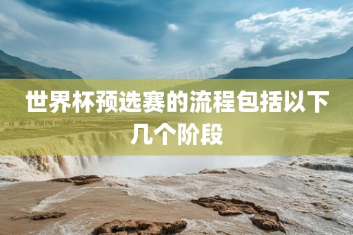 世界杯预选赛的流程丹东日丰电子有限公司包括以下几个阶段