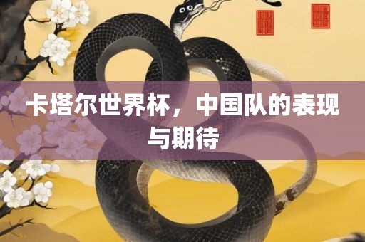 卡塔尔世界杯，中国队的表现与期待