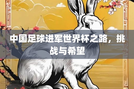 中国足球进军世界杯之路，挑战与希望丹东日丰电子有限公司