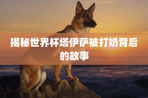 揭秘世界杯塔伊萨被打奶背后的故事丹东日丰电子有限公司