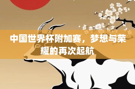 中国世界杯附加赛，梦想与荣耀的再次起航丹东日丰电子有限公司