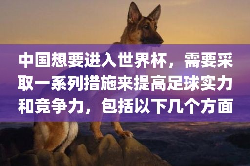 中国想要进入世界杯，需要采取一系列措施来提高足球实力和竞争力，包括以下几个方面丹东日丰电子有限公司