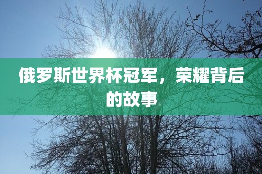 俄罗斯世界杯冠军，荣耀背后的故事