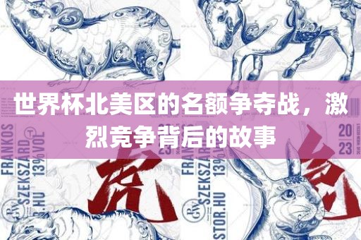 世界杯北美区的名额争夺战，激烈竞争背后的故事丹东日丰电子有限公司