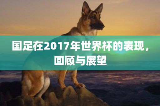 国足在2017年世界杯的表现，回顾与展望