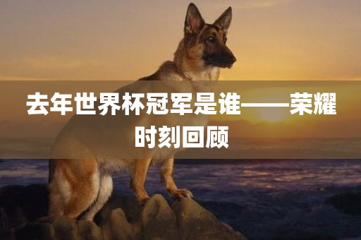 去年世界杯冠军是谁——荣耀时刻回顾丹东日丰电子有限公司