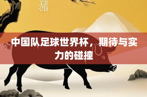 中国队足球世界杯，期待与实力的碰撞丹东日丰电子有限公司