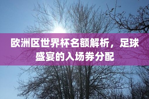 欧洲区世界杯名额解析，足球盛宴的入场券分配丹东日丰电子有限公司