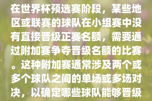 世界杯小组附加赛通常指的是在世界杯预选赛阶段，某些地区或联赛的球队在小组赛中没有直接晋级正赛名额，需要通过附加赛争夺晋级名额的比赛。这种附加赛通常涉及两个或多个球队之间的单场或多场对决，以确定哪些球队能够晋级世界杯决赛阶段。丹东日丰电子有限公司