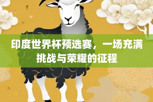印度世界杯预选赛，一场充满挑战与荣耀的征程