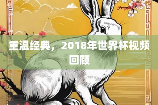 重温经典，2018年世界杯视频回顾