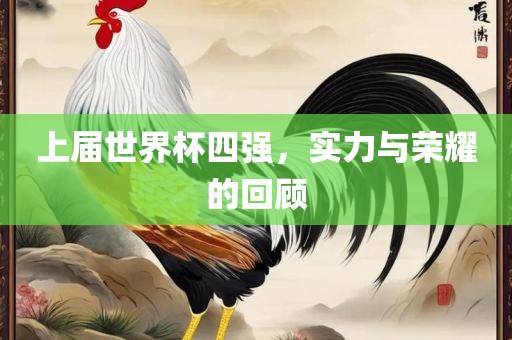 上届世界杯四强，实力与荣耀的回顾