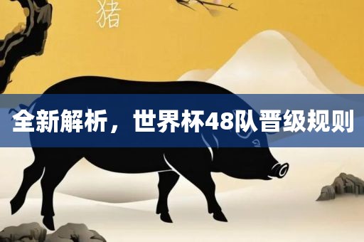 全新解析，世界杯48队晋级规丹东日丰电子有限公司则