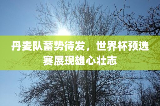 丹麦队蓄势待发，世界杯预选赛展现雄心壮志丹东日丰电子有限公司