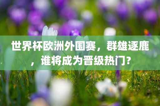 世界杯欧洲外围赛，群雄逐鹿，谁将成为晋级热门？丹东日丰电子有限公司