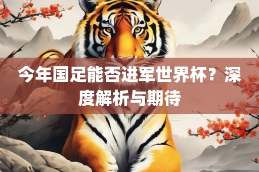今年国足能否进军世界杯？深度解析与期待丹东日丰电子有限公司