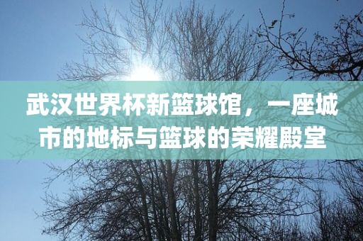 武汉世界杯新篮球馆，一座城市的地标与篮球的荣耀殿堂丹东日丰电子有限公司
