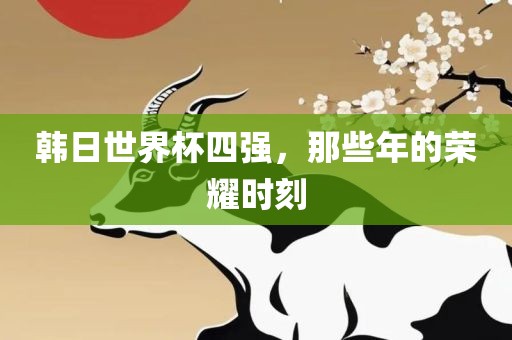 韩日世界杯四强，那些年的荣耀时刻丹东日丰电子有限公司