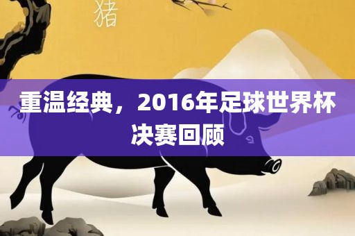重温经典，2016年足球世界杯决赛回顾