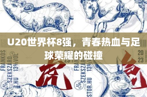 U20世界杯8强，青春热血与足球荣耀的碰撞