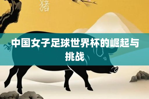 中国女子足球世界杯的崛起与挑战丹东日丰电子有限公司