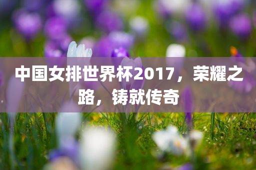 中国女排世界杯2017，荣耀之路，铸就传奇