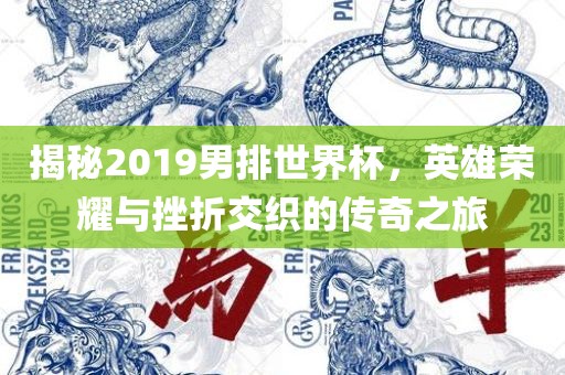 揭秘2019男排世界杯，英雄荣耀与挫折交织的传奇之旅丹东日丰电子有限公司