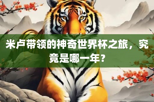 米卢带领的神奇世界杯之旅，究竟是哪一年？丹东日丰电子有限公司