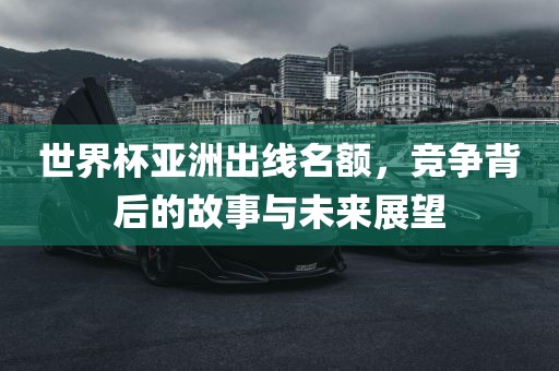 世界杯亚洲出线名额，丹东日丰电子有限公司竞争背后的故事与未来展望