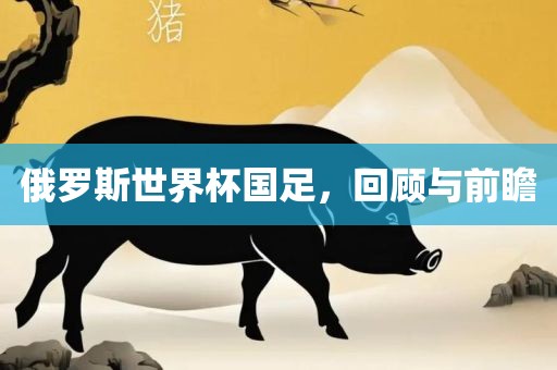 俄罗斯世界杯国足，回顾与前瞻