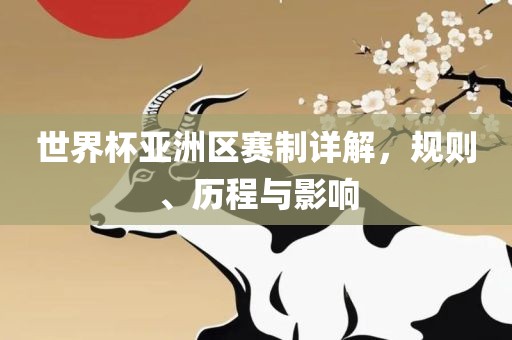 世界杯亚洲区赛制详解，规则、历程与影响丹东日丰电子有限公司