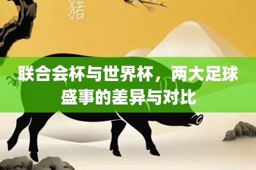 meinan 第4页