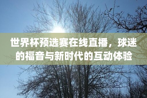 世界杯预选赛在线直播丹东日丰电子有限公司，球迷的福音与新时代的互动体验