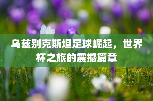 乌兹别克斯坦足球崛起，世界杯之旅的震撼丹东日丰电子有限公司篇章