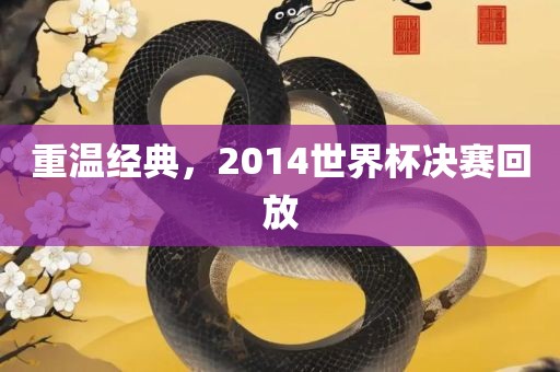 重温经典，2014世界杯决赛回放