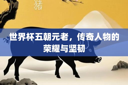 世界杯五朝元老，传奇人物的荣耀与坚韧丹东日丰电子有限公司
