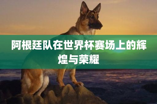 yangxinhong 第4页